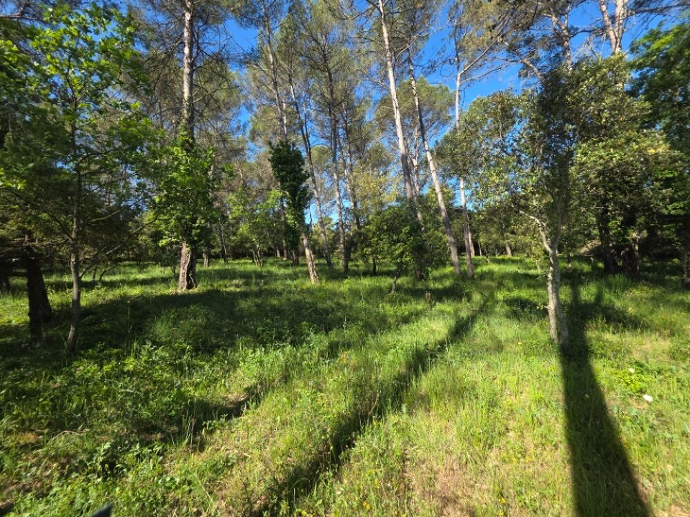 vente Terrain - 874 m² Garéoult (83136)