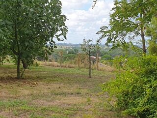  Terrain � vendre 699 m�