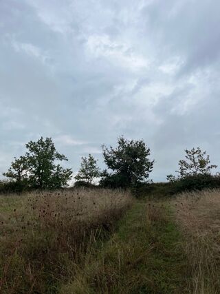  Terrain 768 m� Castelnau-de-montmiral