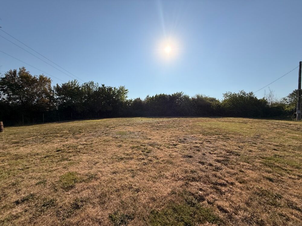 vente Terrain - 1372 m² Loubens-Lauragais (31460)