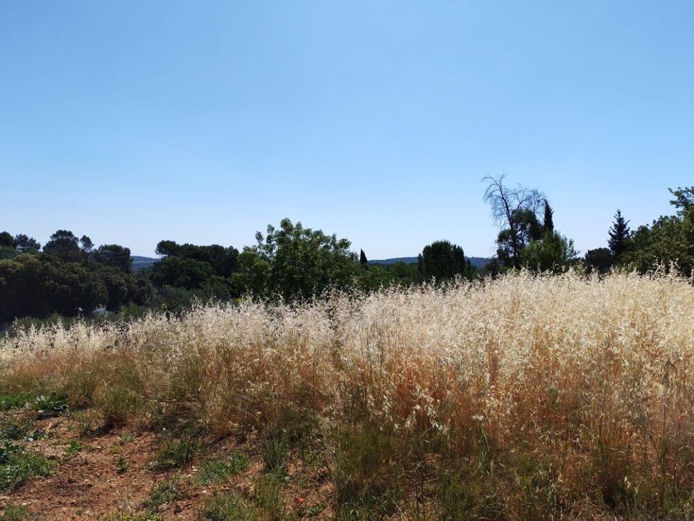 vente Terrain - 628 m² Lorgues (83510)