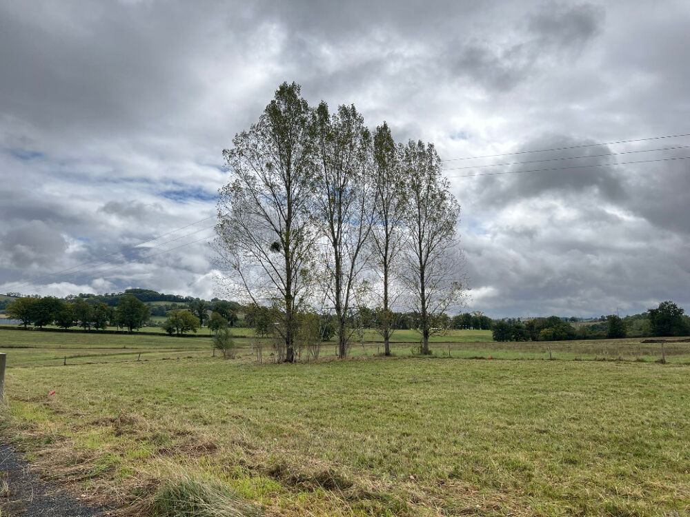 vente Terrain - 375 m² Naucelles (15250)