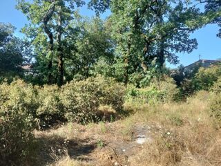  Terrain � vendre 509 m�