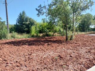  Maison 3 pi�ces 80 m� Le luc