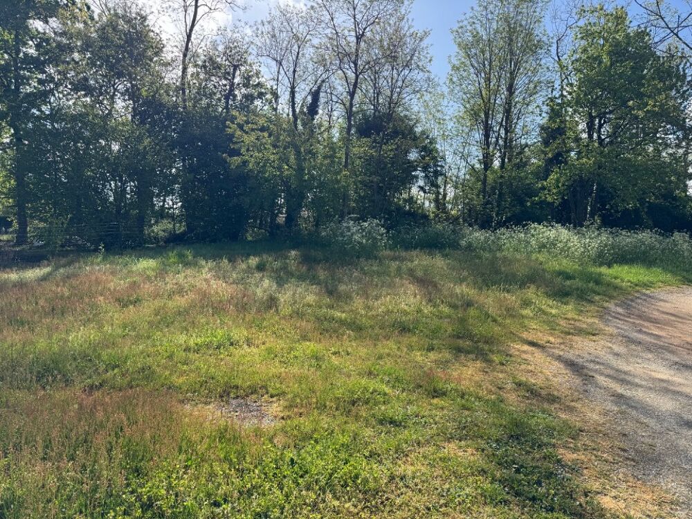 vente Terrain - 576 m² Lesparre-Médoc (33340)