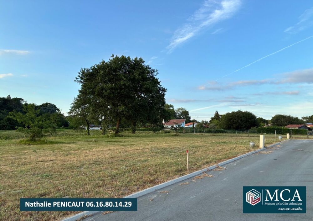 vente Terrain - 423 m² Magescq (40140)