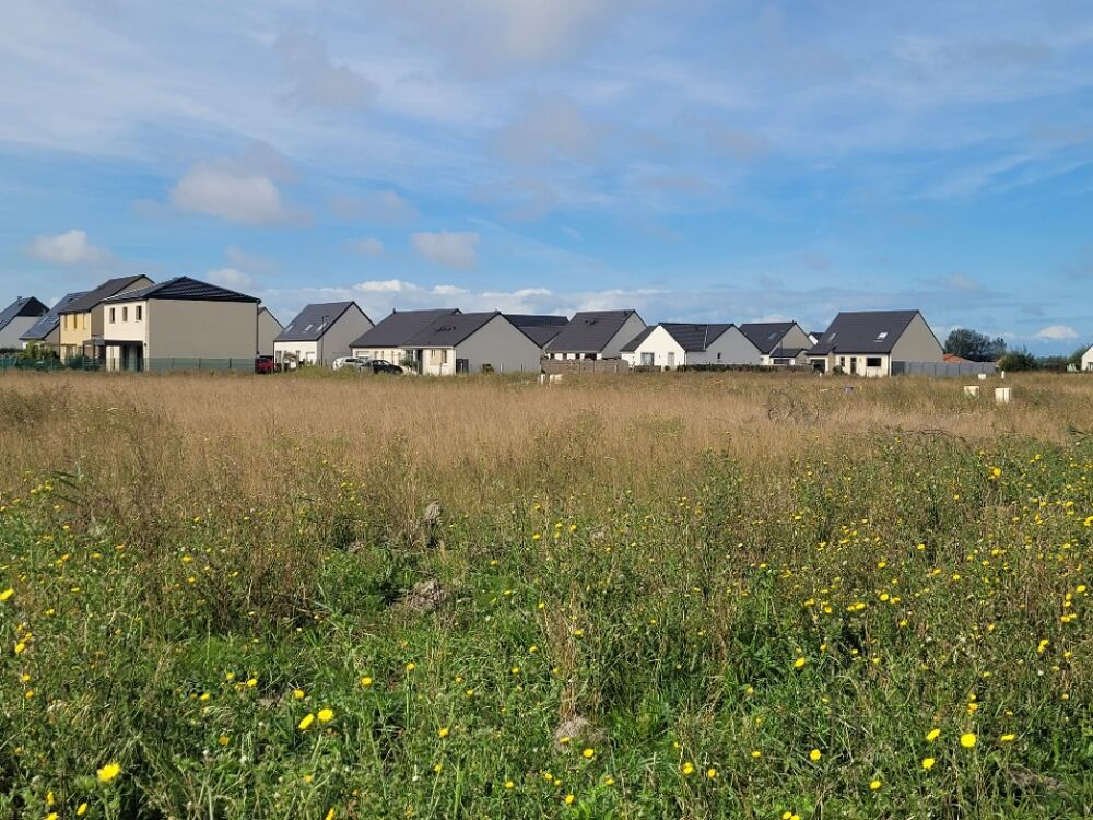 vente Maison - 5 pièce(s) - 85 m² Oye-Plage (62215)