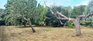  Terrain 830 m� Montpon-m�nest�rol