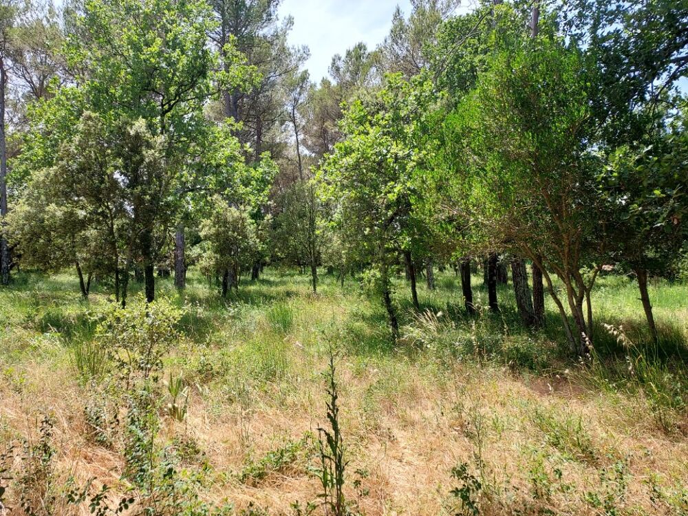 vente Terrain - 847 m² Garéoult (83136)