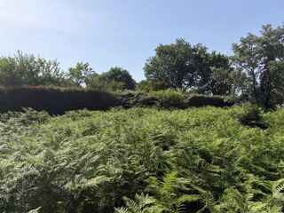  Terrain à vendre 1040 m²