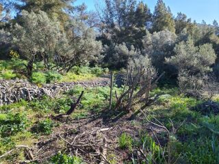  Terrain 2151 m² Toulon