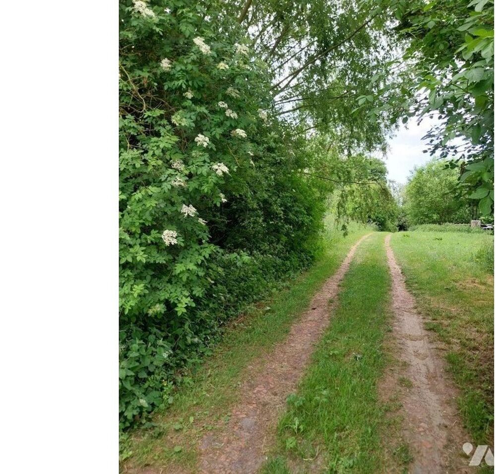 vente Terrain - 1800 m² Agnez-lès-Duisans (62161)