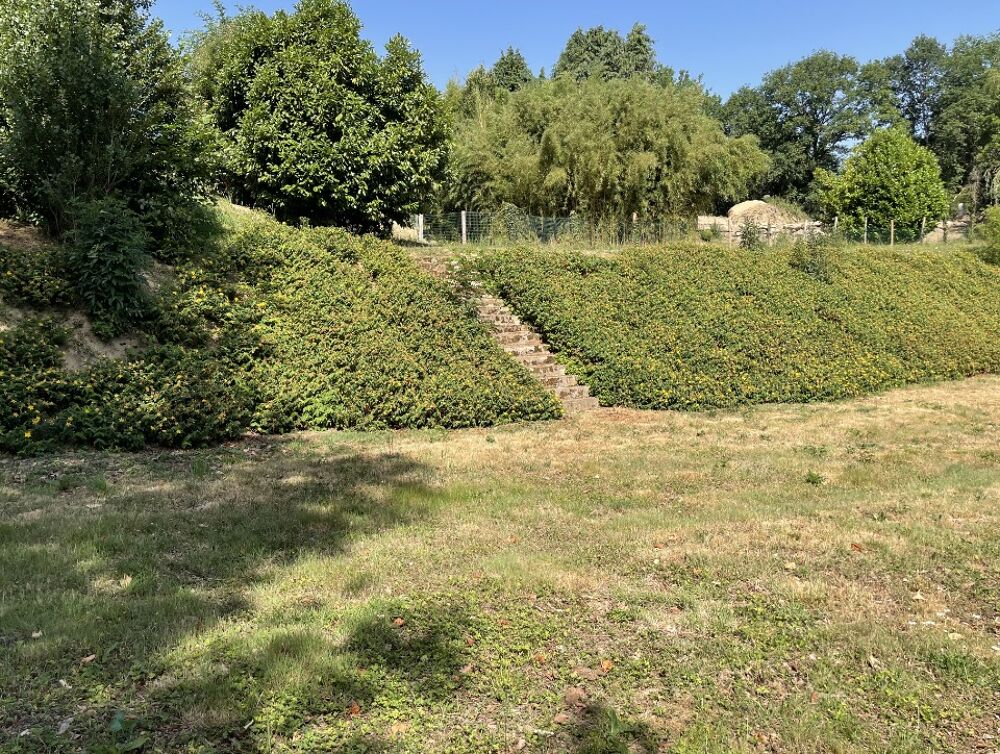 vente Terrain - 2400 m² Feytiat (87220)