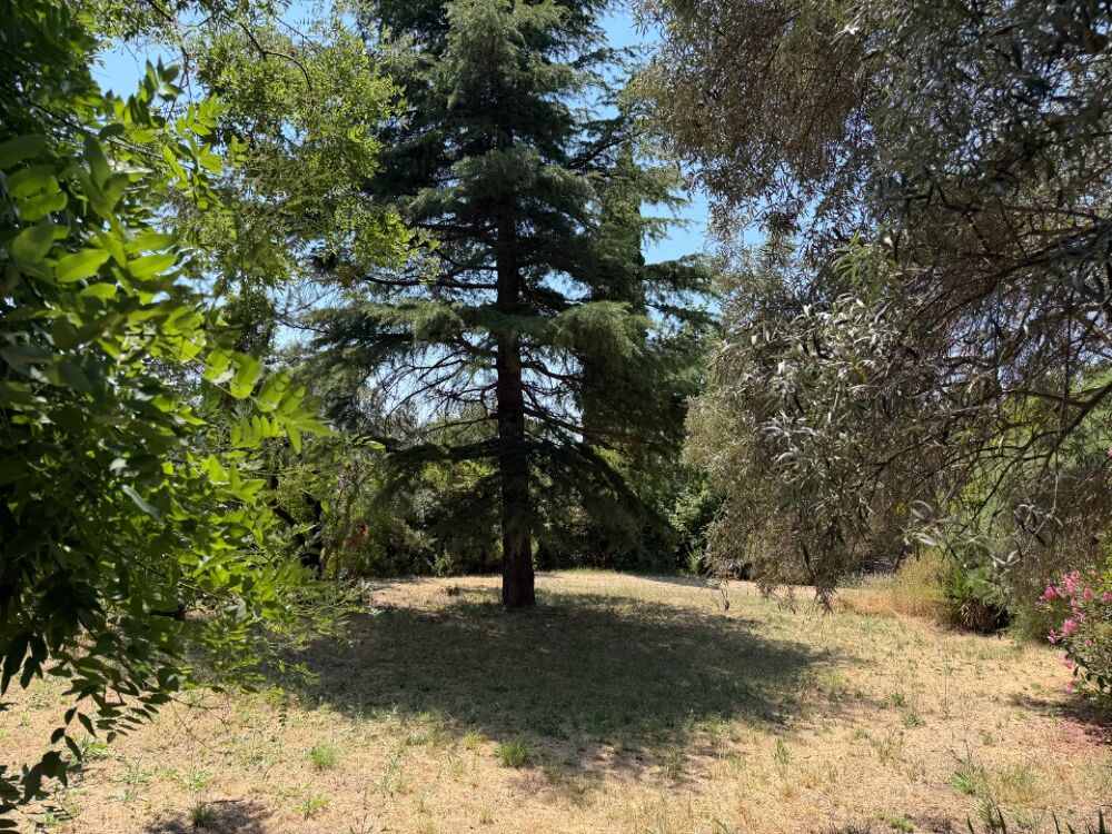 vente Terrain - 1500 m² Éguilles (13510)