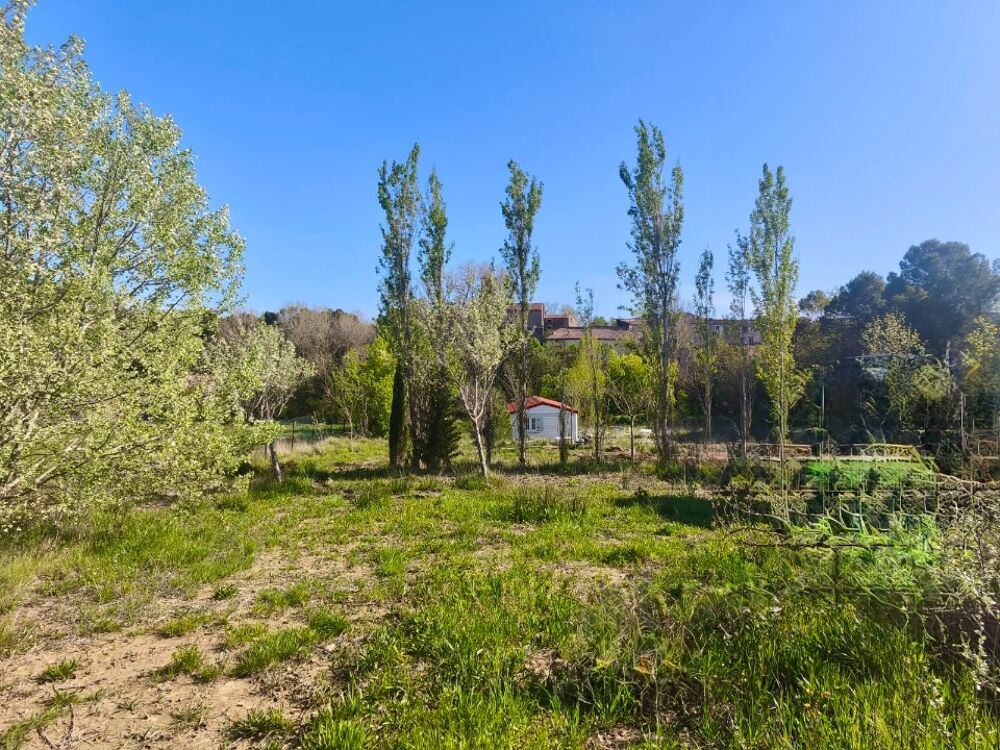vente Terrain - 2940 m² Albas (11360)