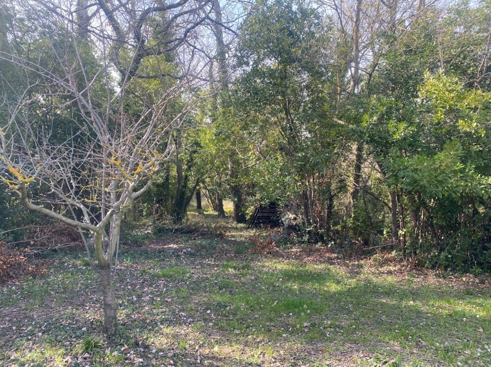 vente Terrain - 1927 m² Eyguières (13430)