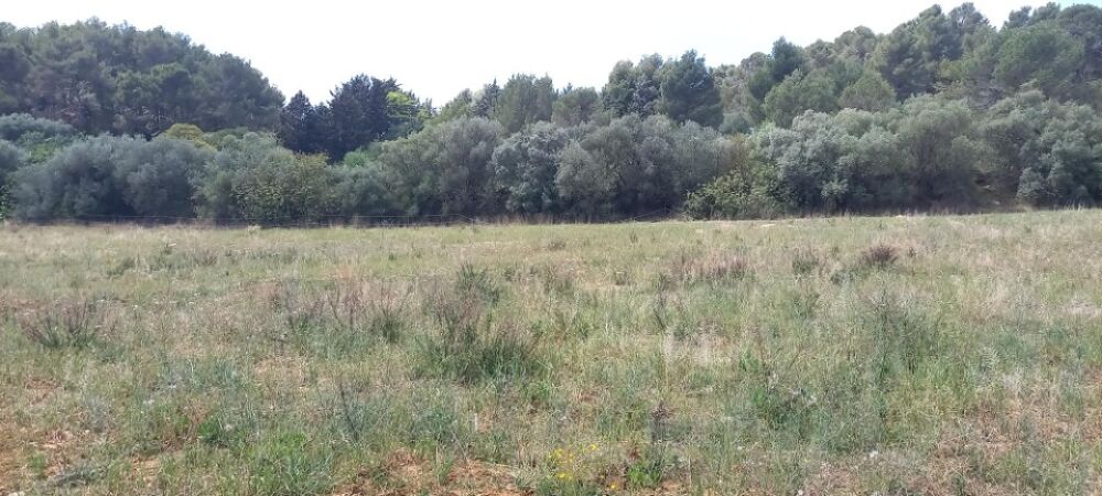 vente Maison - 5 pièce(s) - 94 m² Bize-Minervois (11120)