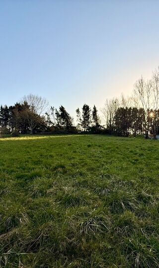  Terrain 2590 m� Saint-nexans