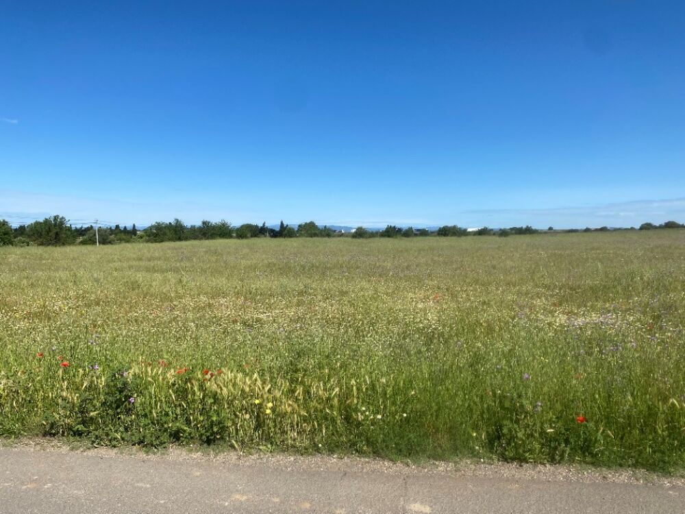 vente Terrain - 341 m² Maraussan (34370)