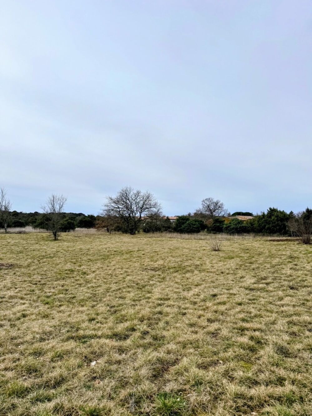 vente Terrain - 1350 m² Saint-Remèze (07700)
