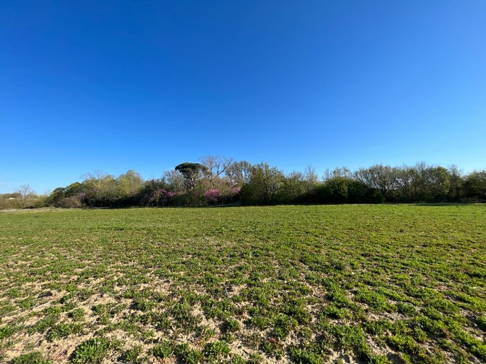 vente Terrain - 321 m² Labastide-d'Anjou (11320)