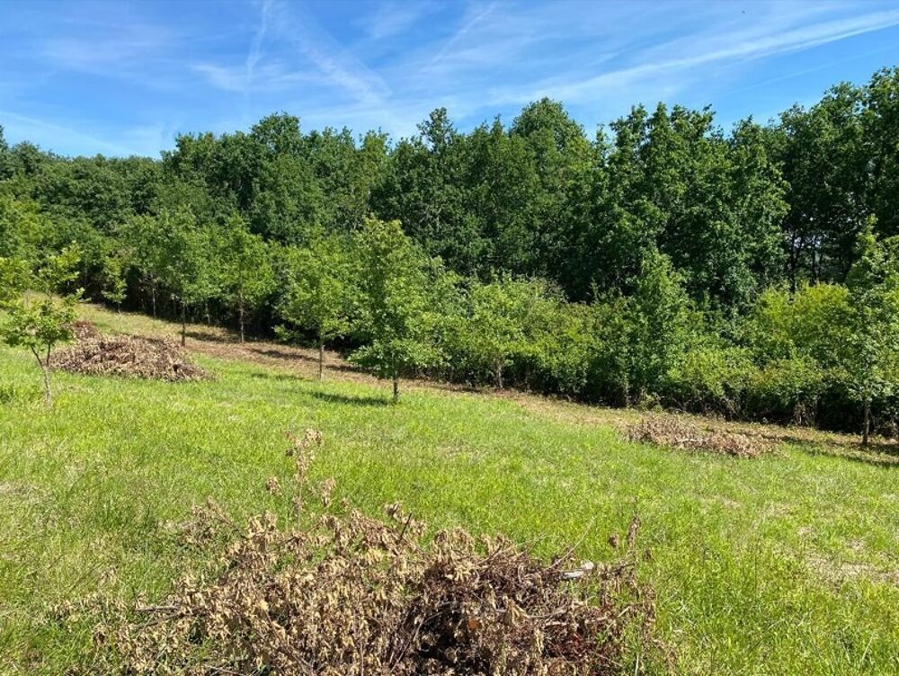 vente Terrain - 650 m² Saint-Etienne-de-Tulmont (82410)