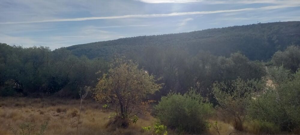 vente Terrain - 1185 m� Bize-Minervois (11120)