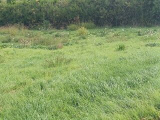  Terrain � vendre 324 m�