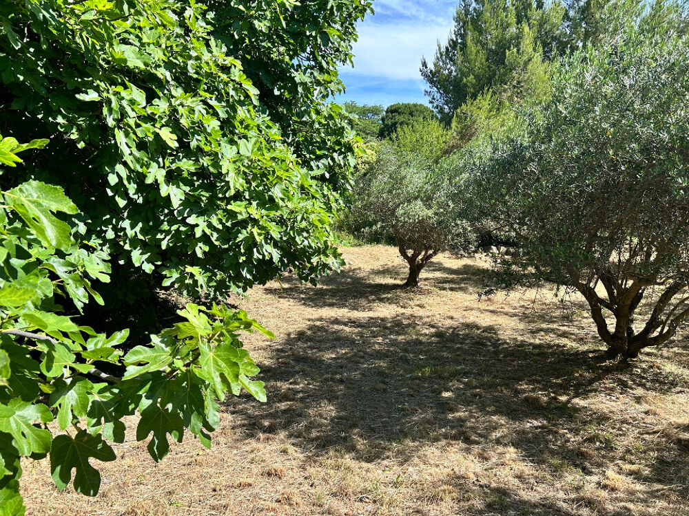 vente Terrain - 316 m² Saint-Jean-de-Fos (34150)
