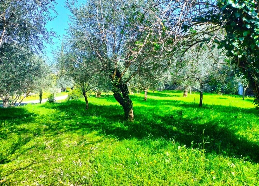 vente Terrain - 1000 m² Draguignan (83300)