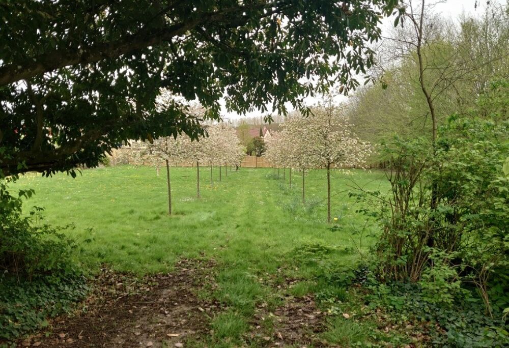 vente Terrain - 650 m² Marly-le-Roi (78160)