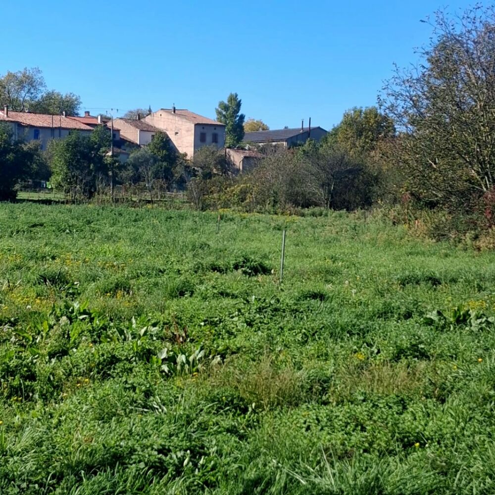 vente Maison - 6 pièce(s) - 112 m² Valdurenque (81090)