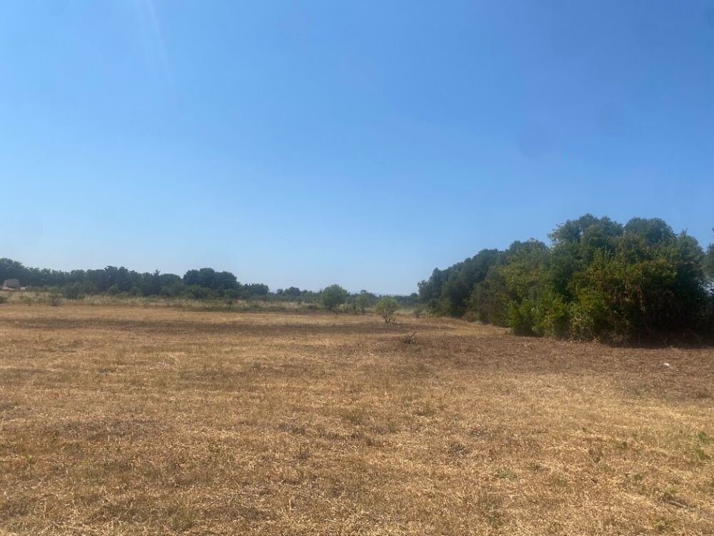 vente Terrain - 453 m² Salles-d'Aude (11110)