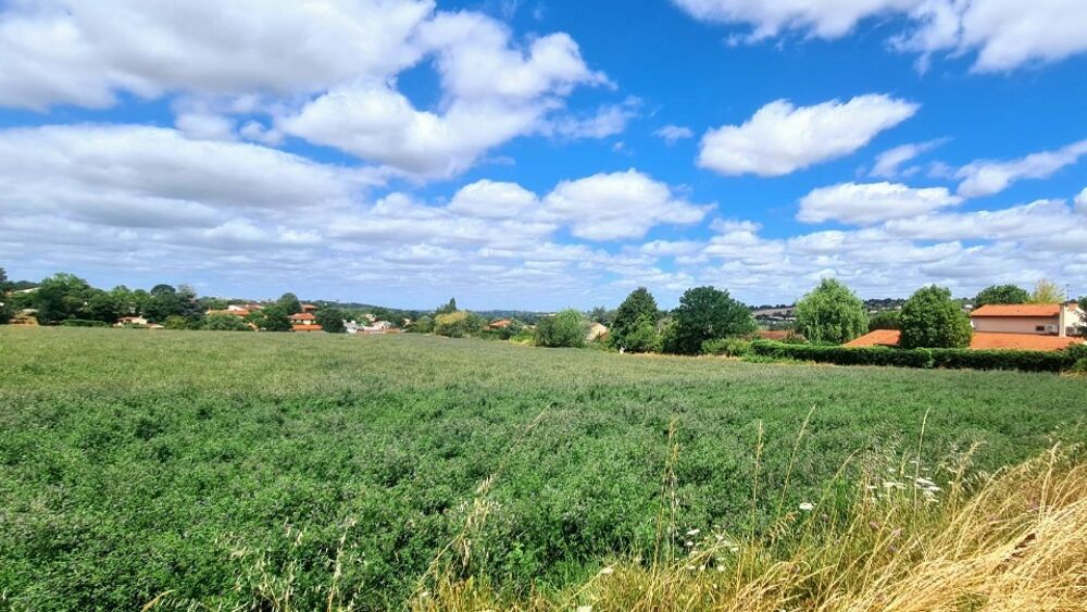 vente Terrain - 1030 m² Auzielle (31650)