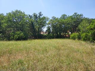 vente Terrain - 1165 m² Gonfaron (83590)