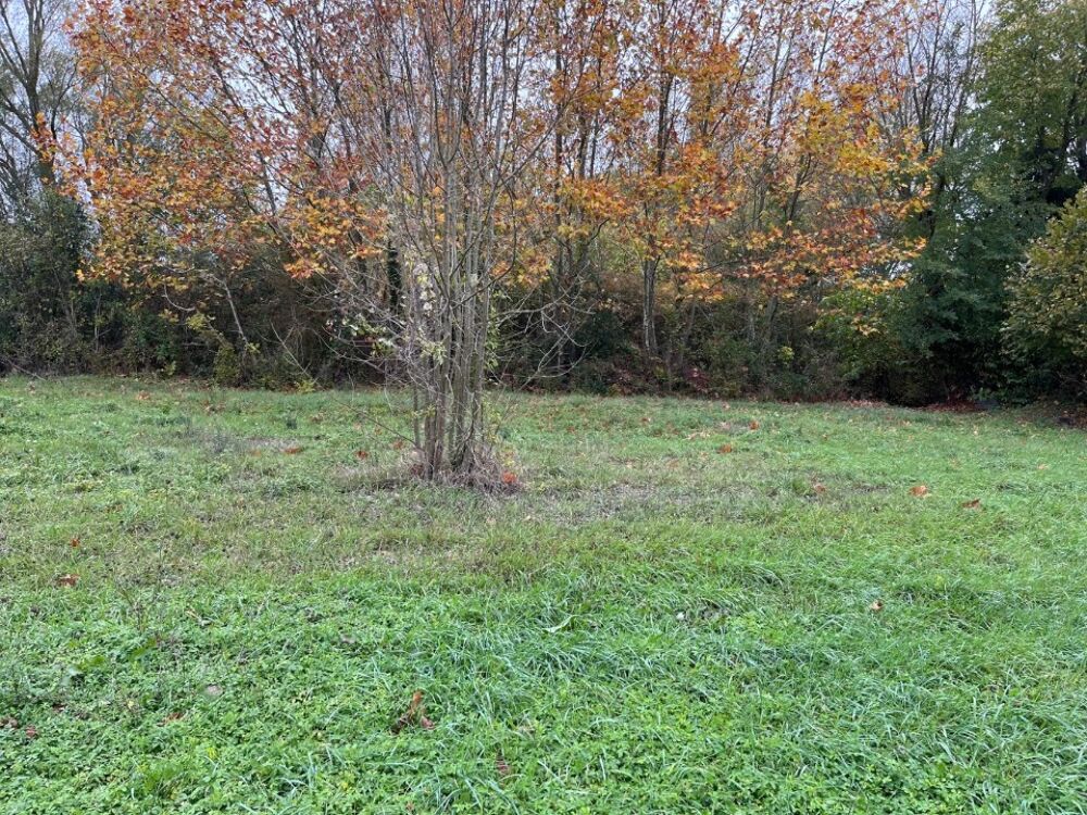 vente Terrain - 2098 m² Castelnaudary (11400)