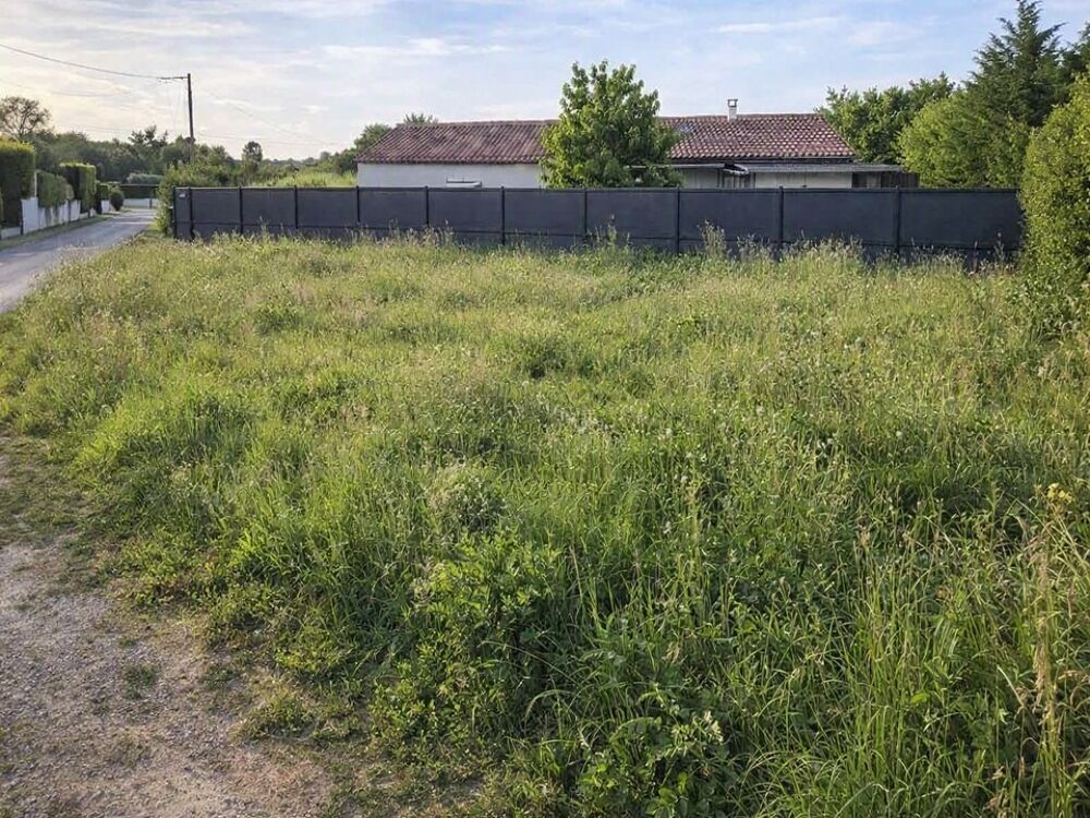 vente Terrain - 600 m² Peujard (33240)