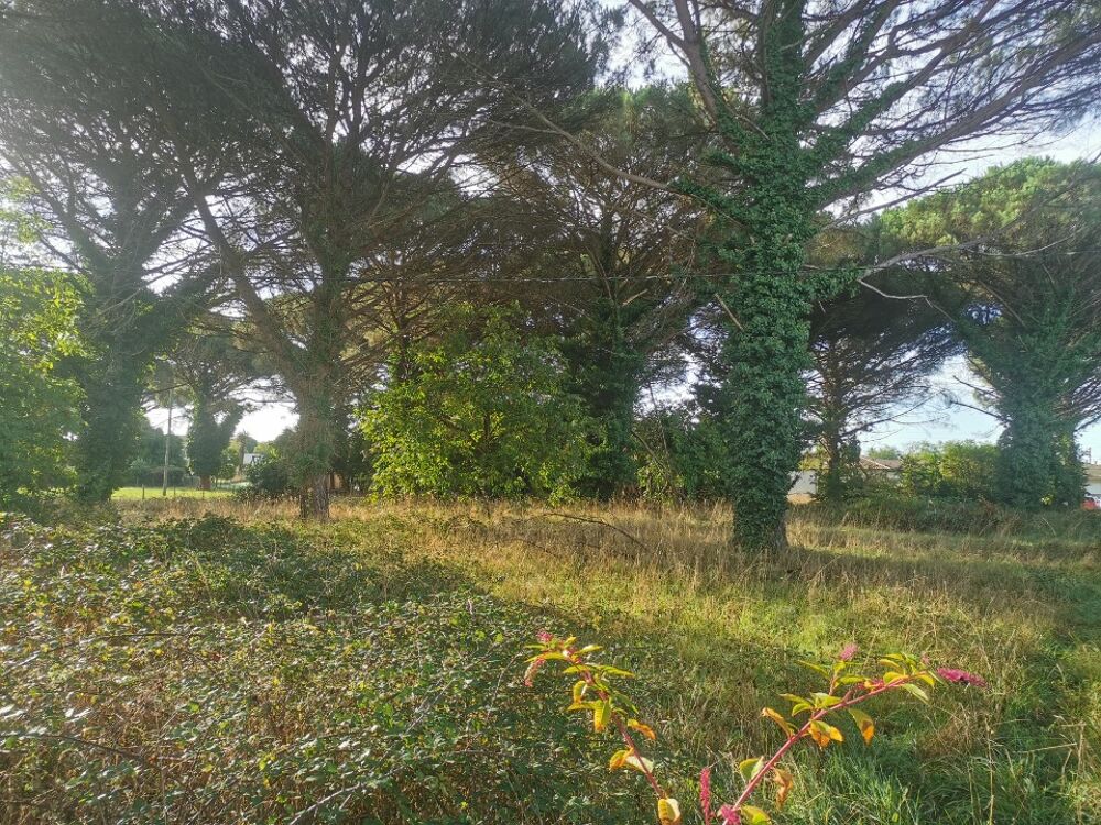 MAISON À CONSTRUIRE DE 85 M² À SAINT-MAIXANT DANS UN EMP....