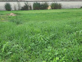  Terrain � vendre 340 m�