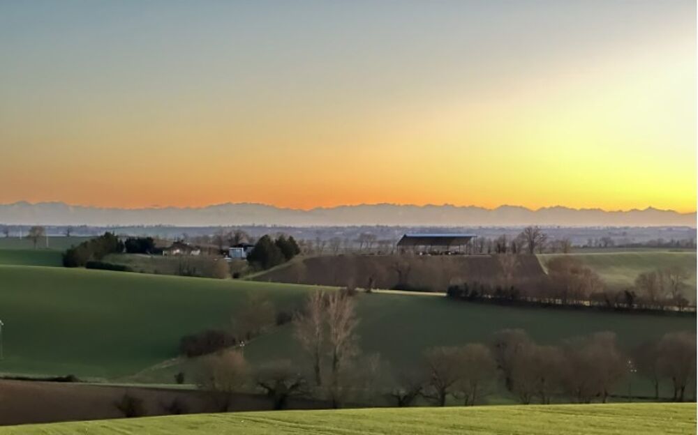 vente Terrain - 1600 m² Cox (31480)