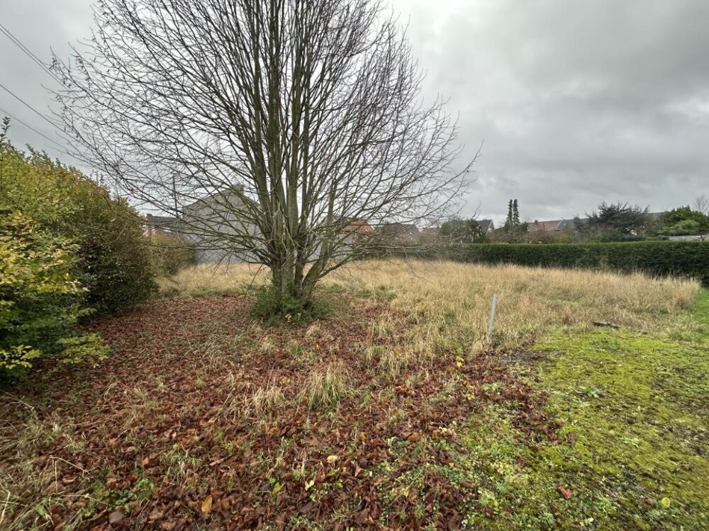 VENTE : maison T8 (140 m²) à Annezin Idéalement situ....