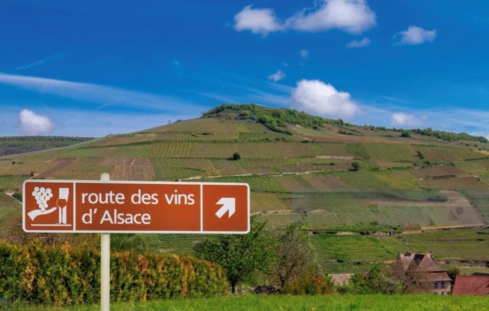 vente Terrain - 617 m² Châtenois (67730)