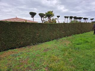  Terrain 430 m� Tignieu-jameyzieu