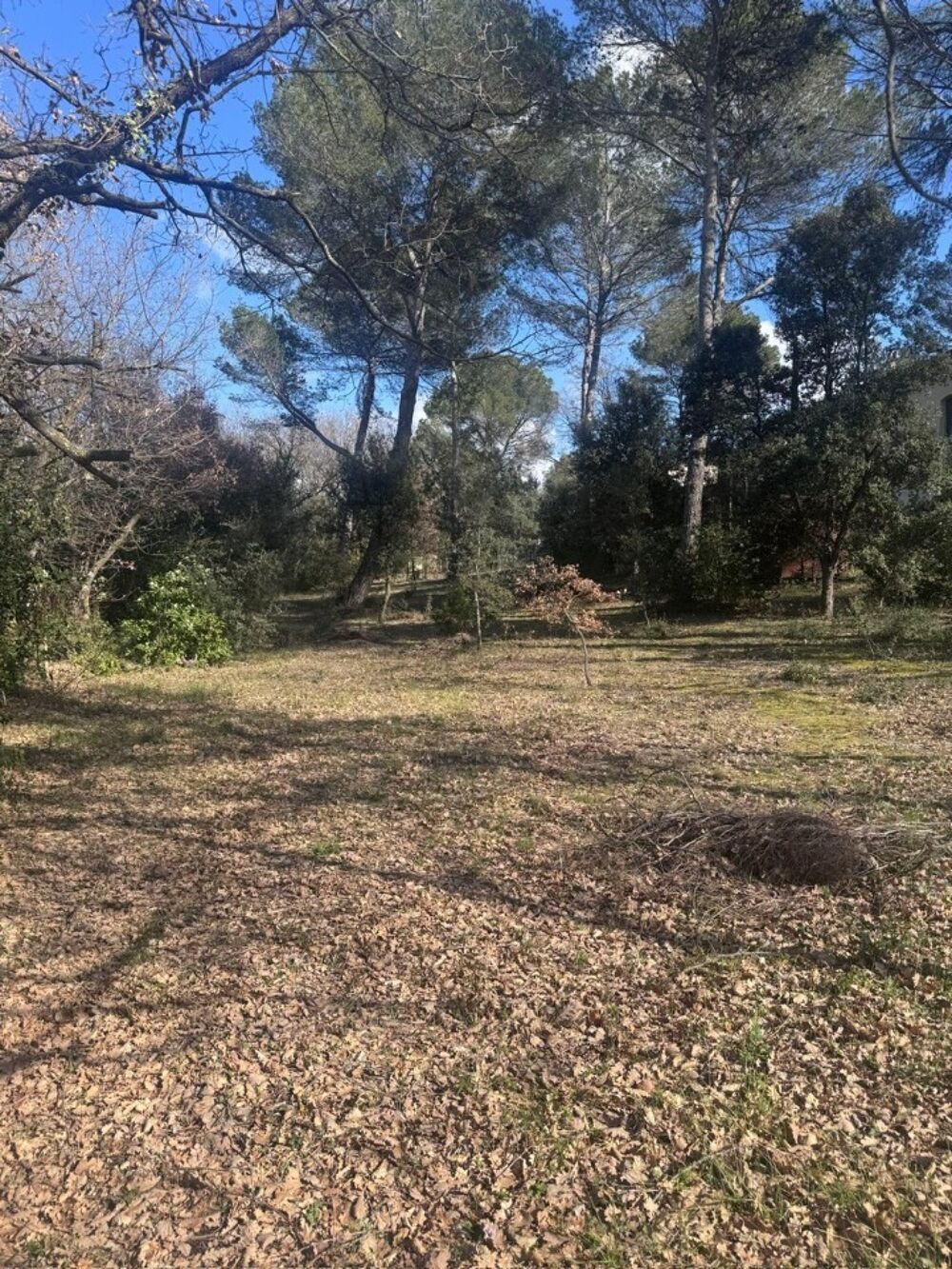 vente Maison - 4 pièce(s) - 71 m² La Roque-d'Anthéron (13640)