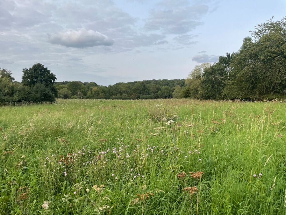 Projet Terrain + Construction - Maison d'exception de 20....