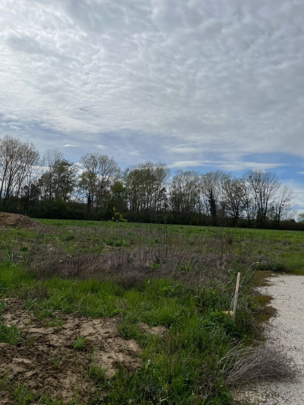 vente Maison - 4 pièce(s) - 142 m² Viterbe (81220)