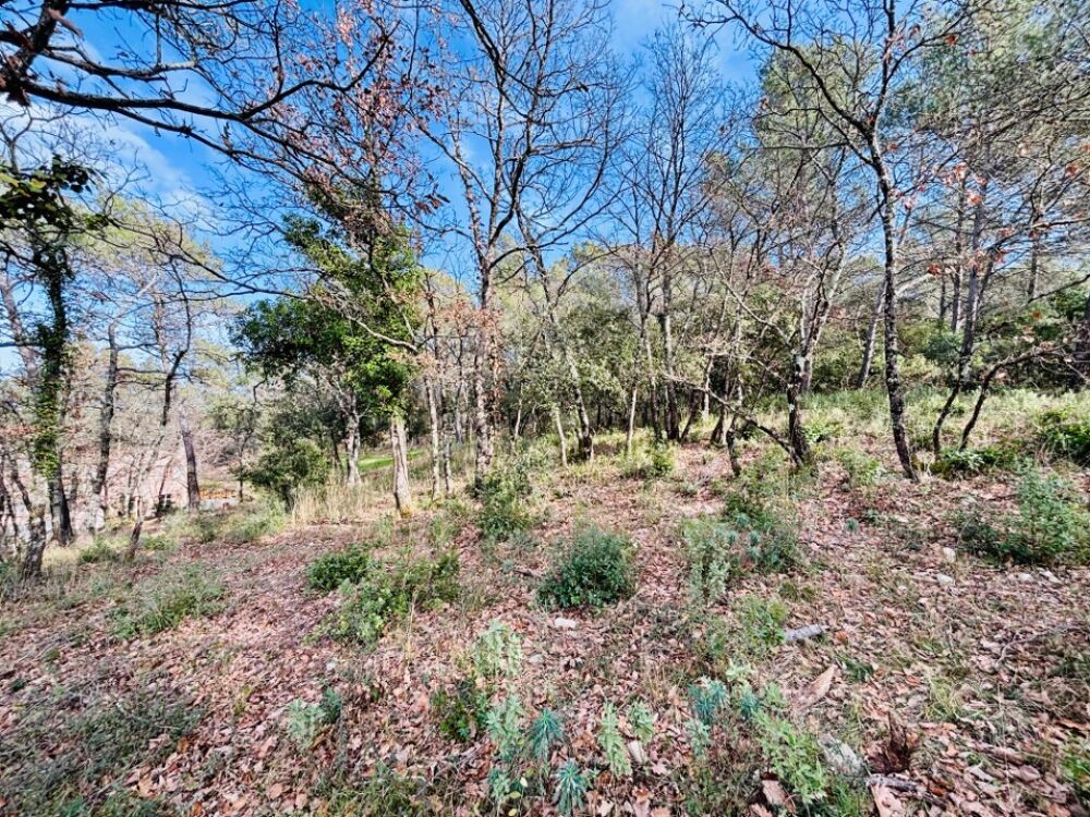 vente Terrain - 964 m² Rocbaron (83136)