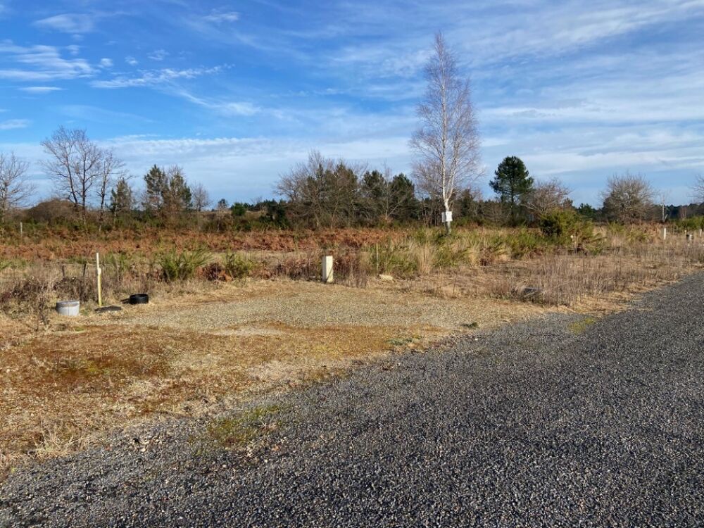 vente Terrain - 517 m² Portets (33640)