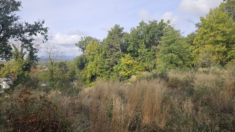 vente Terrain - 1174 m� Saint-Vallier-de-Thiey (06460)