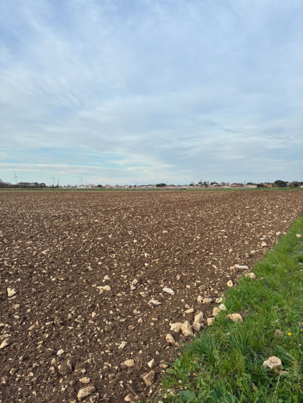 vente Terrain - 281 m² Angliers (17540)